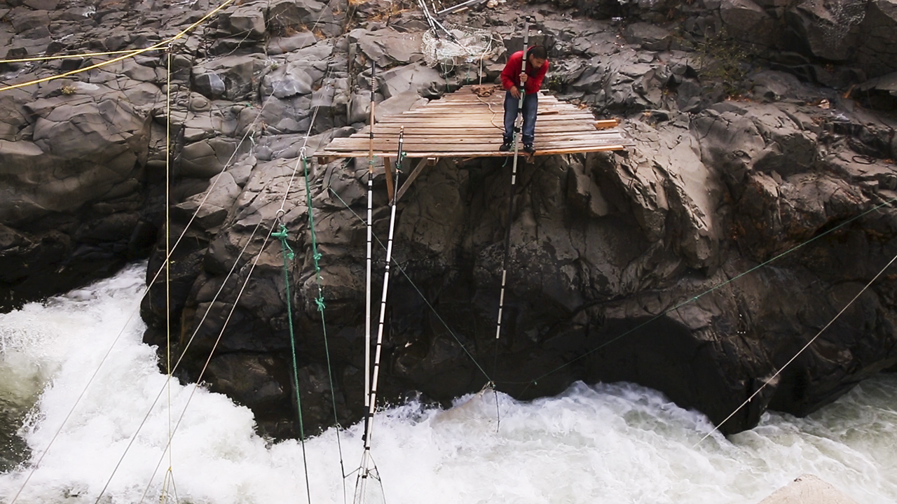 2017 Klickitat Fall’s Wild Columbia Salmon